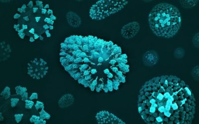 admin-ajax-5-1.jpeg - PressHub24