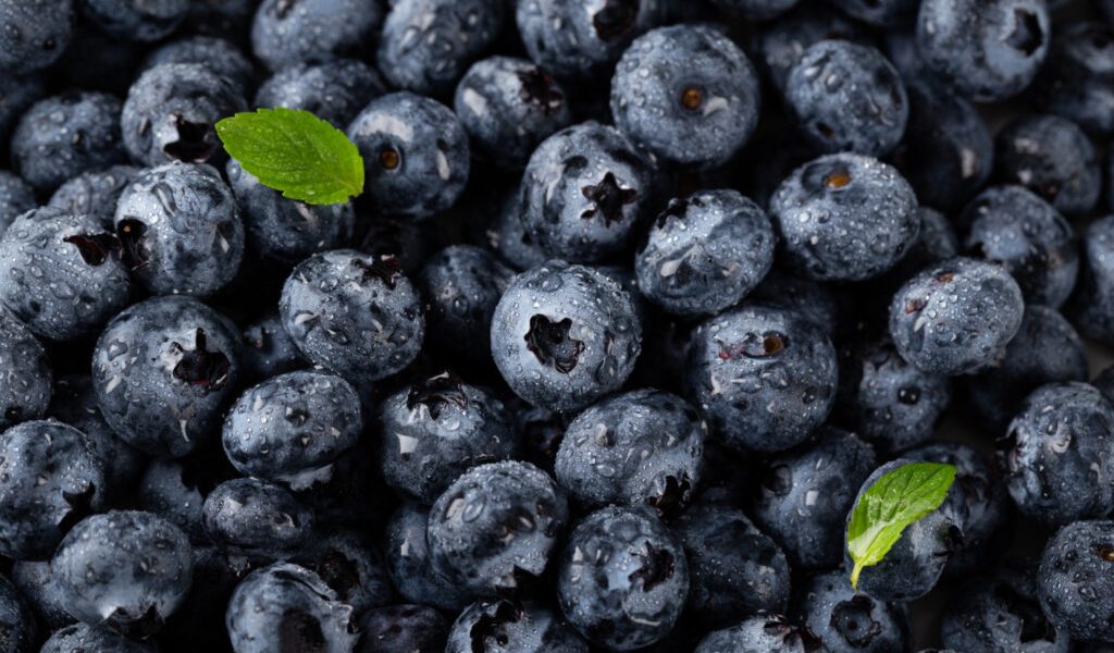 afine-1024x683-1.jpg - PressHub24