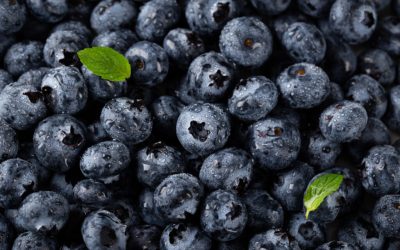 afine-1024x683-1.jpg - PressHub24