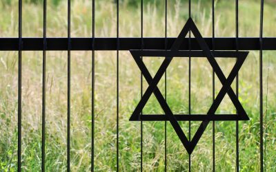 antisemitism-steaua-lui-david-evrei-israelieni-lagar-concentrare-nazism-extreminare.jpg - PressHub24