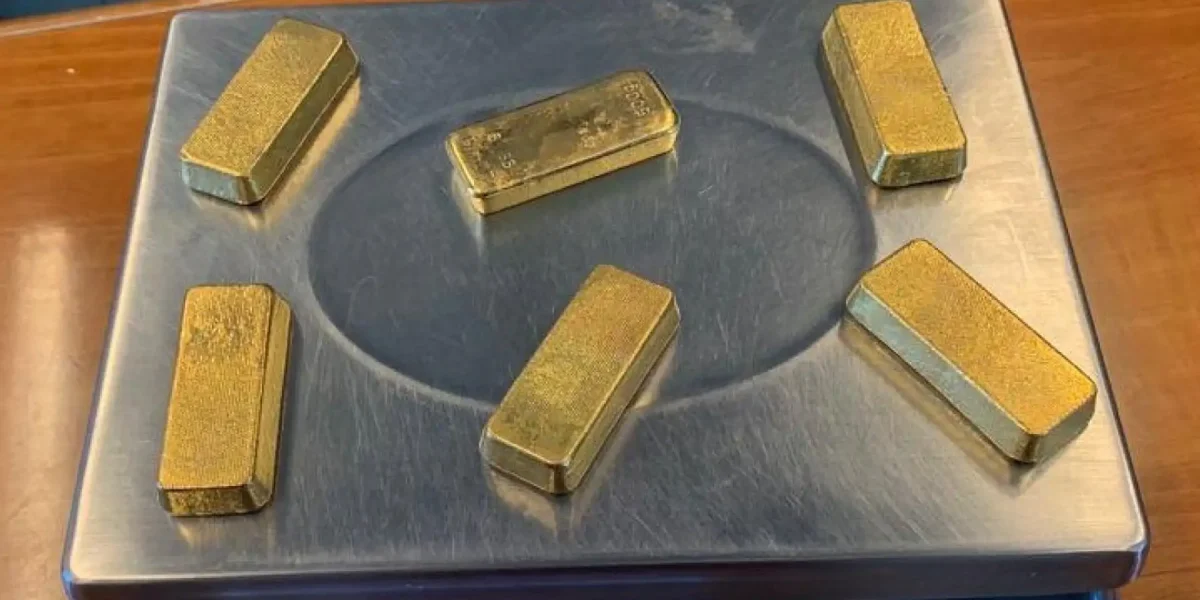 aur-longouri.webp.webp - PressHub24