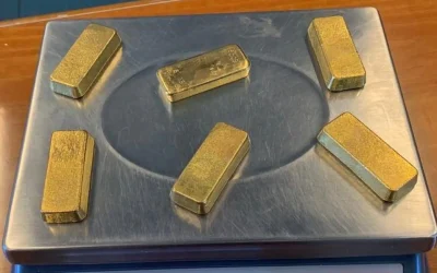 aur-longouri.webp.webp - PressHub24