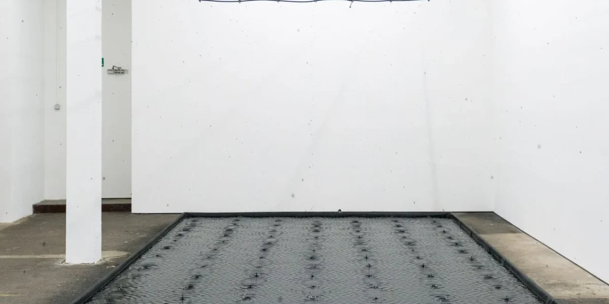 belu-simion-fainaru-contemporary-artist.webp.webp - PressHub24