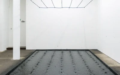 belu-simion-fainaru-contemporary-artist.webp.webp - PressHub24