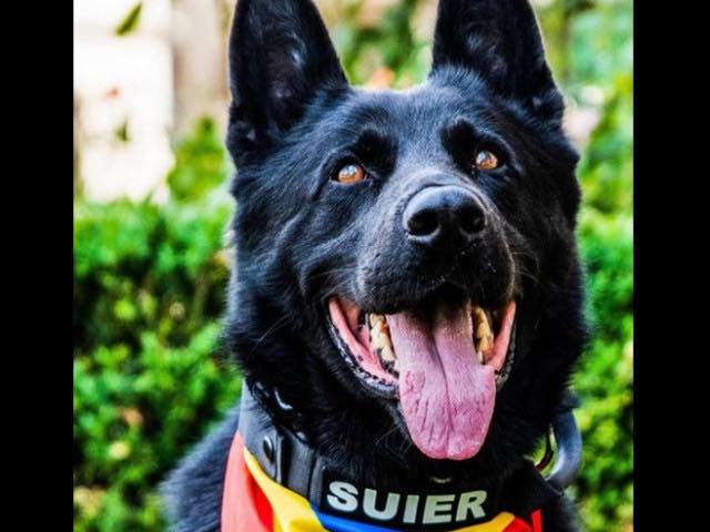 caine.jpg - PressHub24