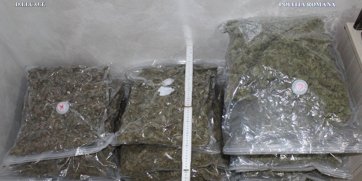 canabis.jpeg - PressHub24