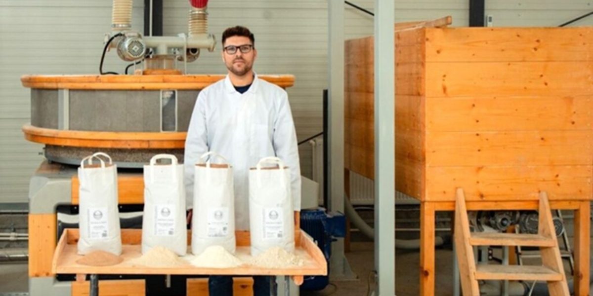 cooperativa-faina.jpg - PressHub24