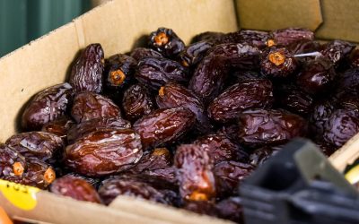 curmale.jpg - PressHub24