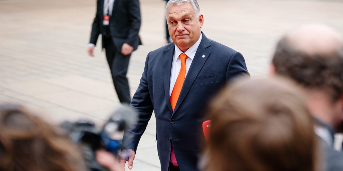 d506f2c6-e5a0-47cb-87c3-153d4628b931.jpg - PressHub24