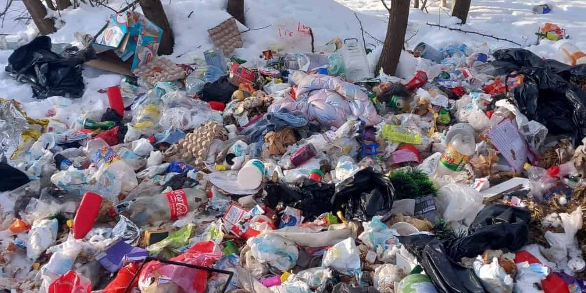 deseuri-spring-6.jpg - PressHub24