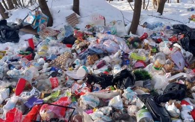 deseuri-spring-6.jpg - PressHub24