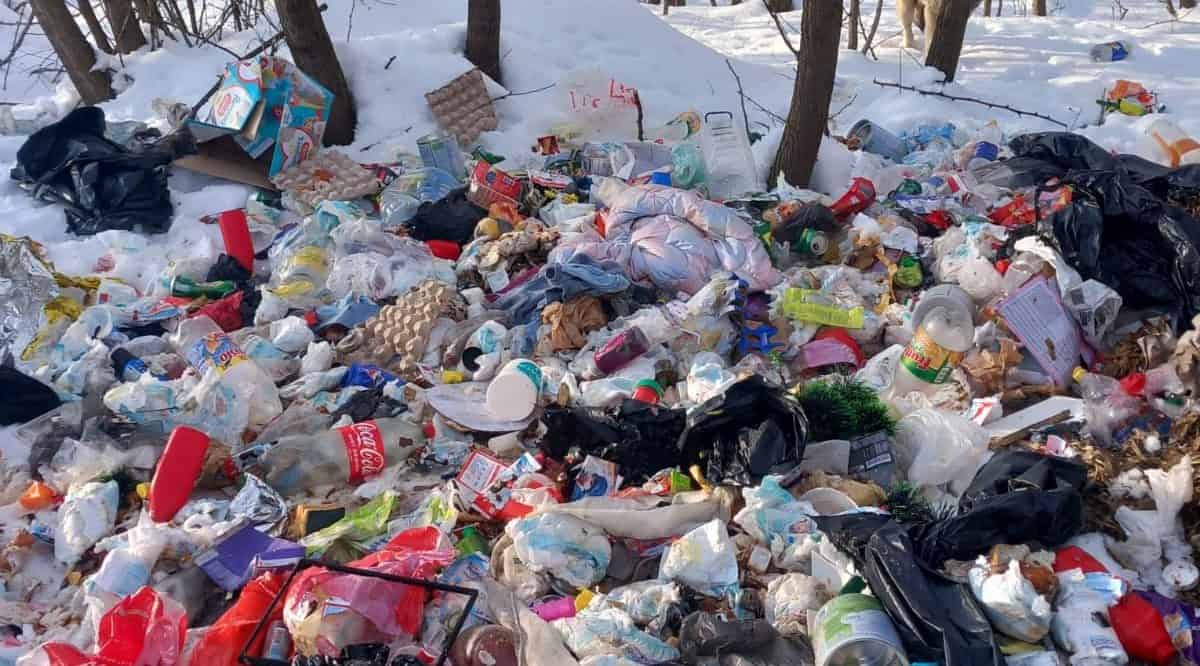 Bărbat din Alba, prins cu gunoi aruncat ilegal în localitatea vecină