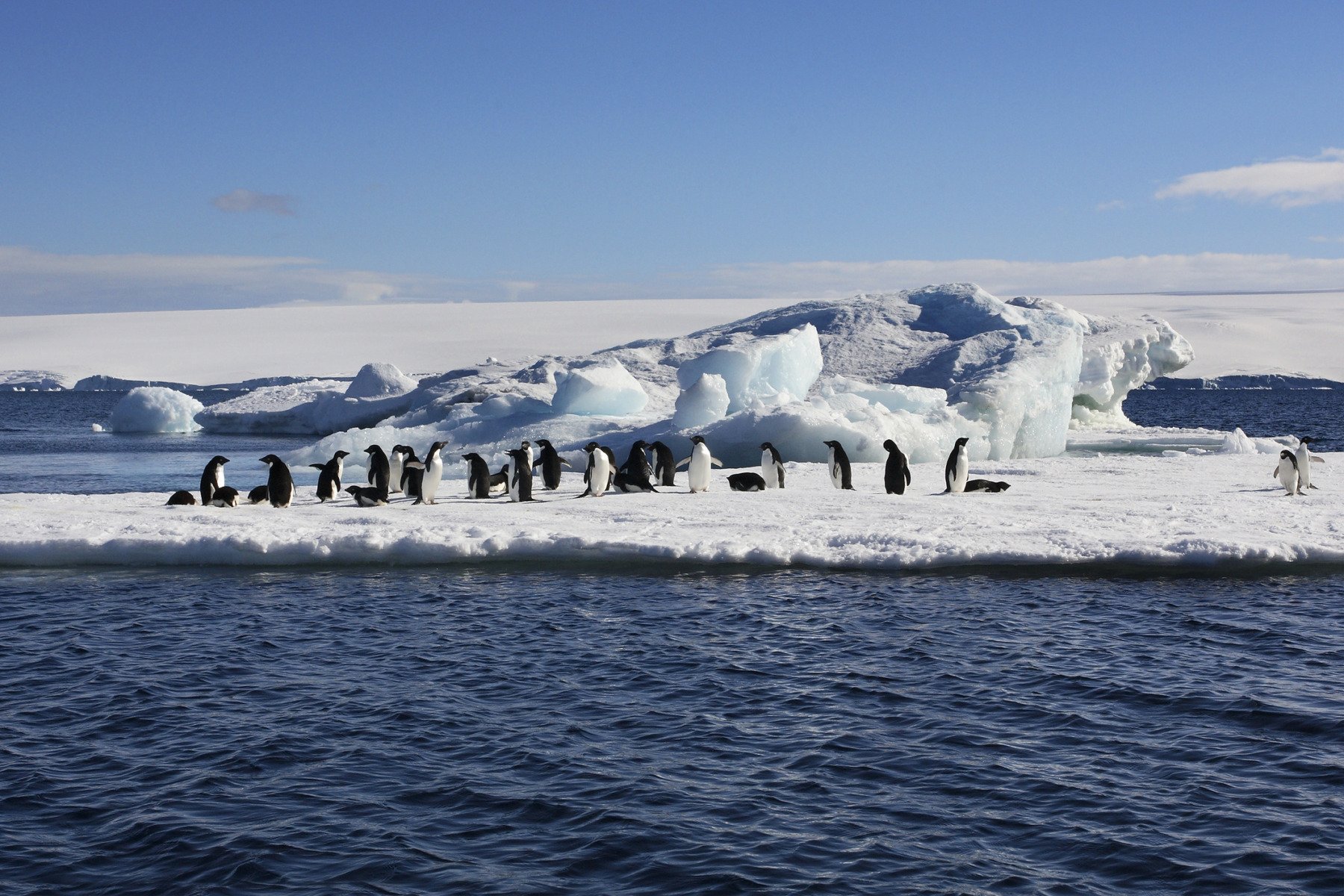 Harta științifică a Antarcticii arată zonele ascunse și impactul asupra nivelului mării