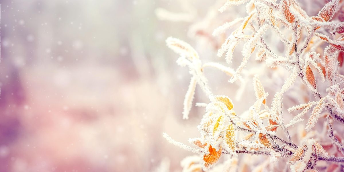 dreamstime_m_46769012.jpg - PressHub24