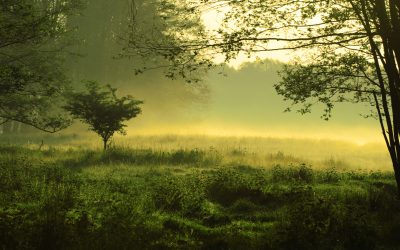 dreamstime_m_4953634.jpg - PressHub24