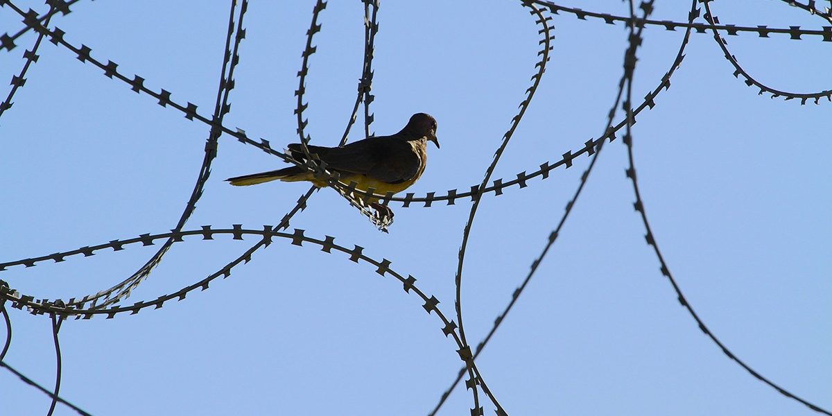 dreamstime_m_64982902.jpg - PressHub24