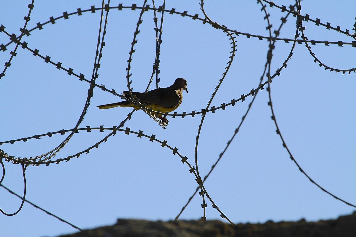 Proteste la centru de detenție din Texas unde sunt un băiat de 5 ani și tatăl său