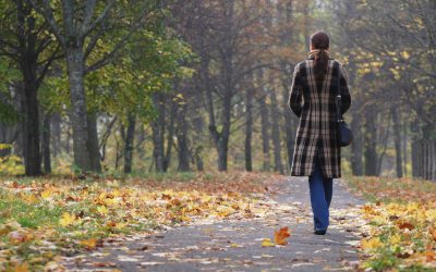 dreamstime_m_6853281.jpg - PressHub24