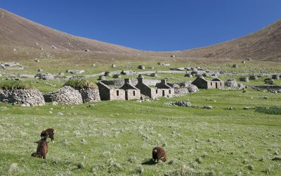 dreamstime_s_2681229.jpg - PressHub24