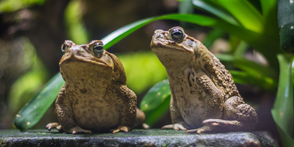 dreamstime_xl_123690325.jpg - PressHub24