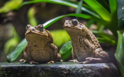 dreamstime_xl_123690325.jpg - PressHub24