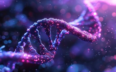 dreamstime_xl_328626479.jpg - PressHub24