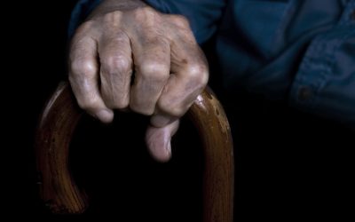 dreamstime_xxl_8972417.jpg - PressHub24