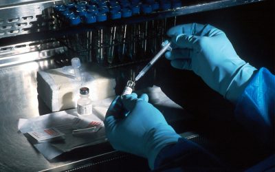 genetica.jpg - PressHub24