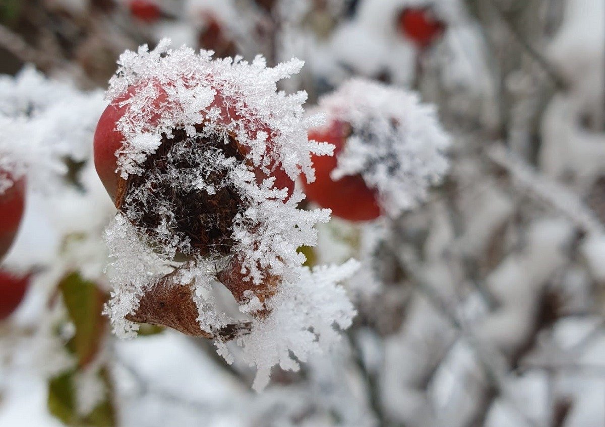 Vremea în ianuarie 2026: temperaturi și prognoze.