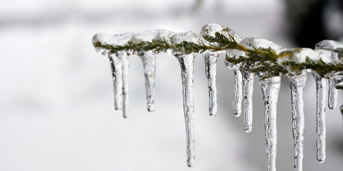 ice-1343342_1280.jpg - PressHub24