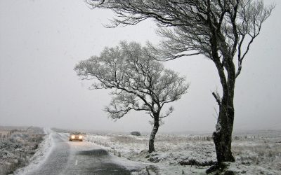 ireland-ge90926f96_1280.jpg - PressHub24