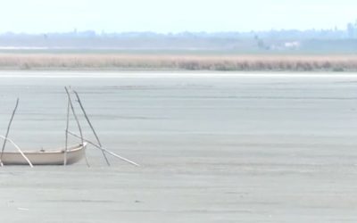 lacul-amara-buzau-secat.jpg - PressHub24