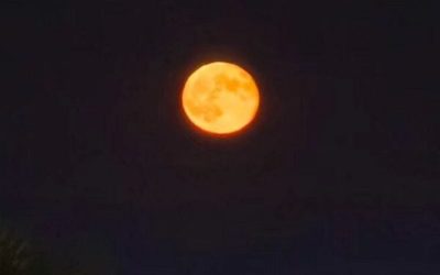 luna-4-e1767379918868.jpg - PressHub24