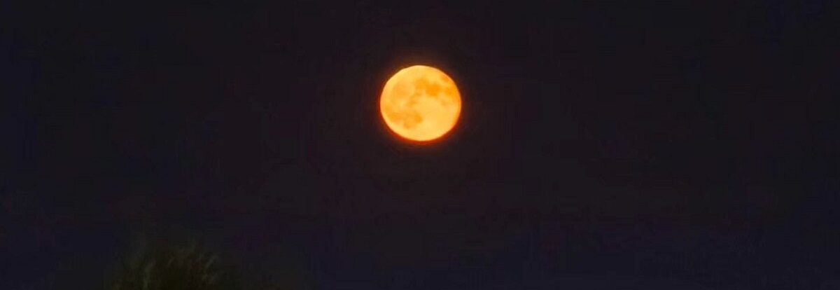 luna-4-e1767379918868.jpg - PressHub24