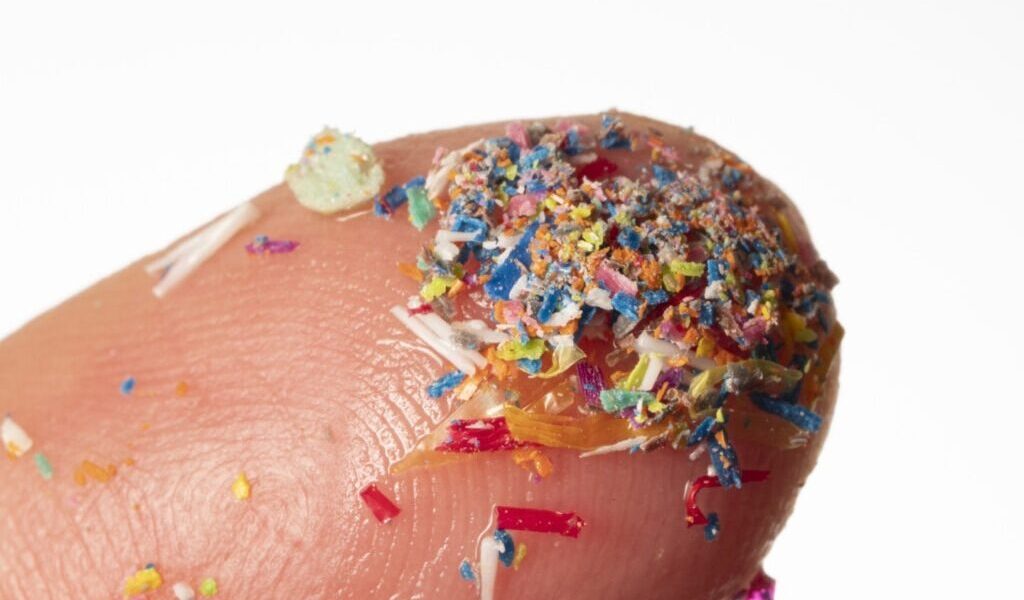 microplastice-e1724489538371.jpg - PressHub24