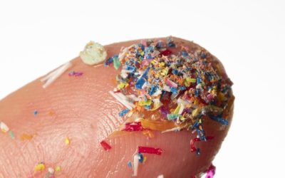 microplastice-e1724489538371.jpg - PressHub24