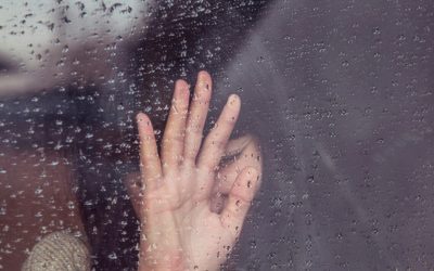 milada-vigerova-kT0tsYZ2YE0-unsplash-e1717931877253.jpg - PressHub24