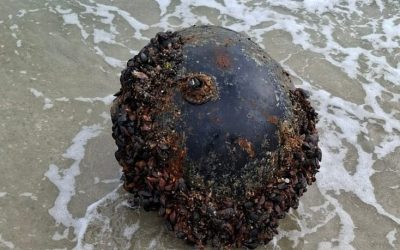 mina-marina-marea-neagra-e1756664676359.jpg - PressHub24