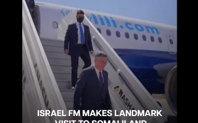 ministru-fly-lili-mbhy.jpg - PressHub24