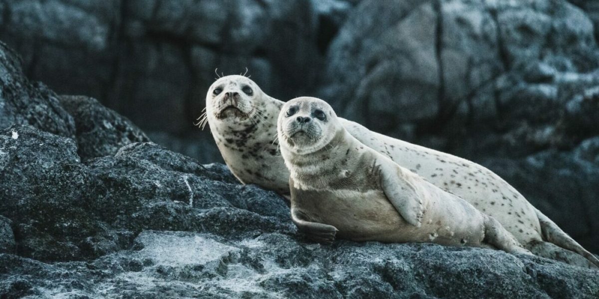 neil-cooper-uwI8R_FyLrI-unsplash-e1670244406712.jpg - PressHub24