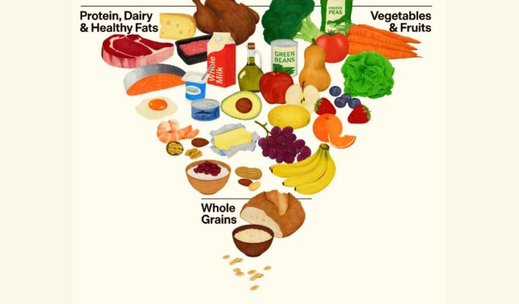 noua-piramida-alimentara-sua-1024x683-1.jpeg - PressHub24