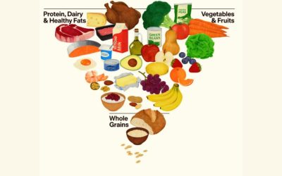 noua-piramida-alimentara-sua-1024x683-1.jpeg - PressHub24