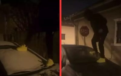 parbriz-spart-tik-tok.jpg - PressHub24