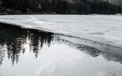 pexels-eberhard-grossgasteiger-2086267.jpg - PressHub24