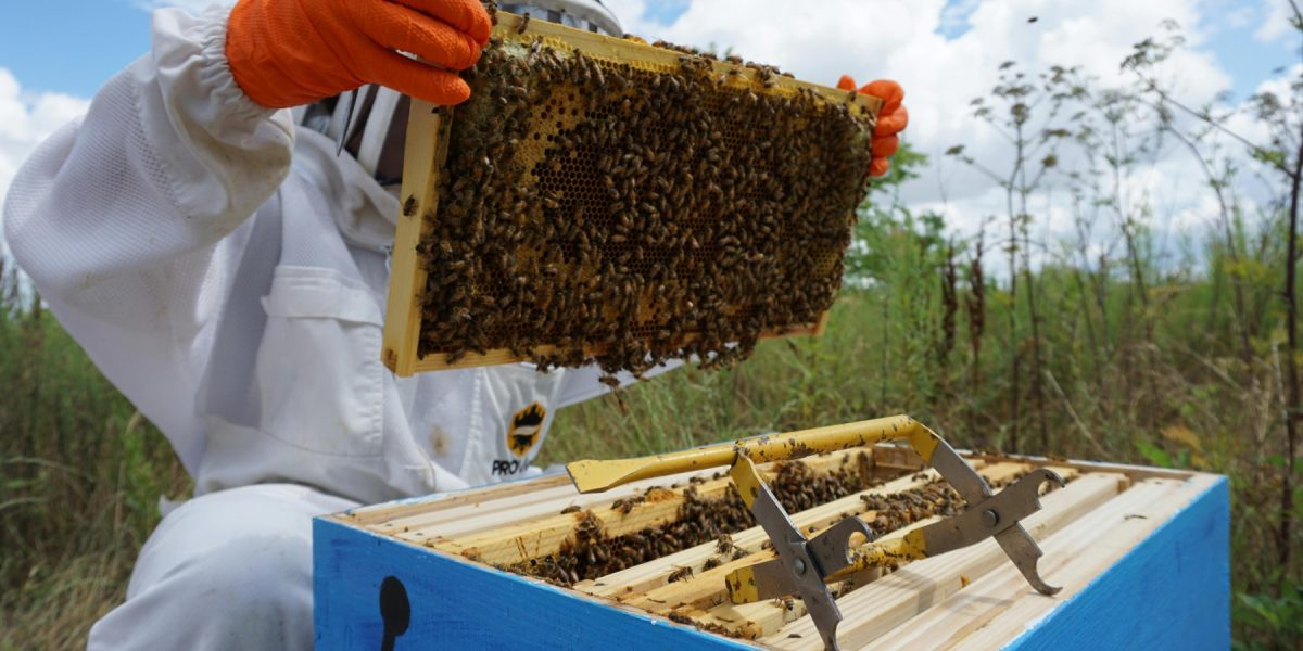 pexels-foolishmo-8227213.jpg - PressHub24