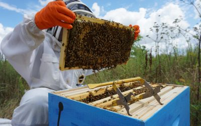 pexels-foolishmo-8227213.jpg - PressHub24