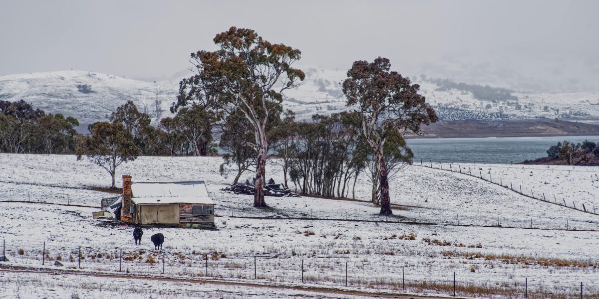 pexels-mark-thomas-2149938474-30979871.jpg - PressHub24