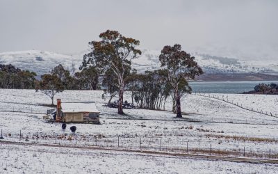 pexels-mark-thomas-2149938474-30979871.jpg - PressHub24