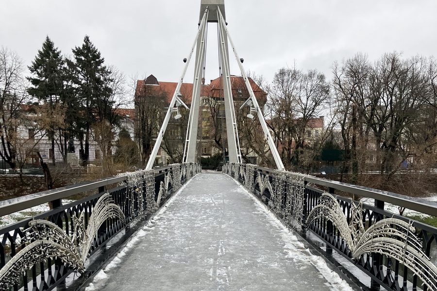 podul-intelectualilor-din-oradea.jpg - PressHub24