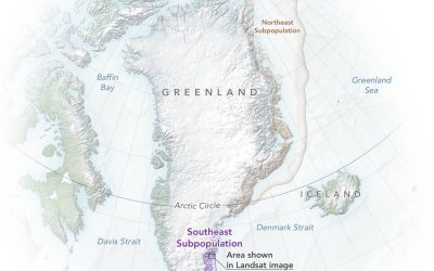 polarbears_greenland_map_2022_lrg.jpg - PressHub24